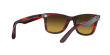 RAYΒAN